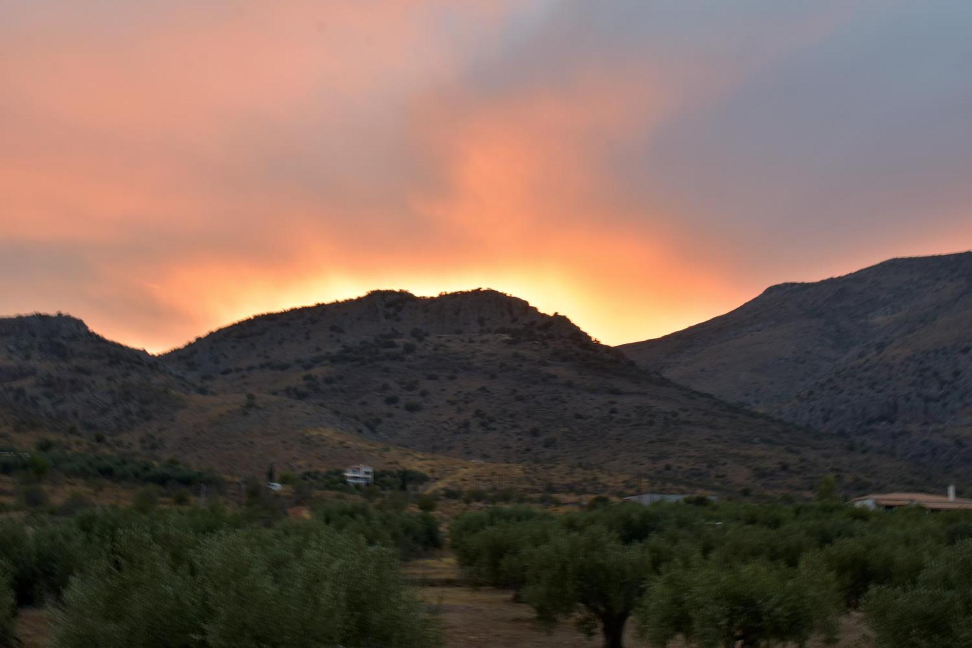 Villa In The Olive Trees Galaxídhion Quarto foto