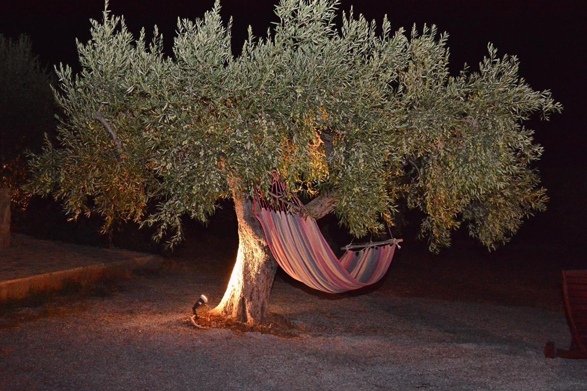 Villa In The Olive Trees Galaxídhion Exterior foto